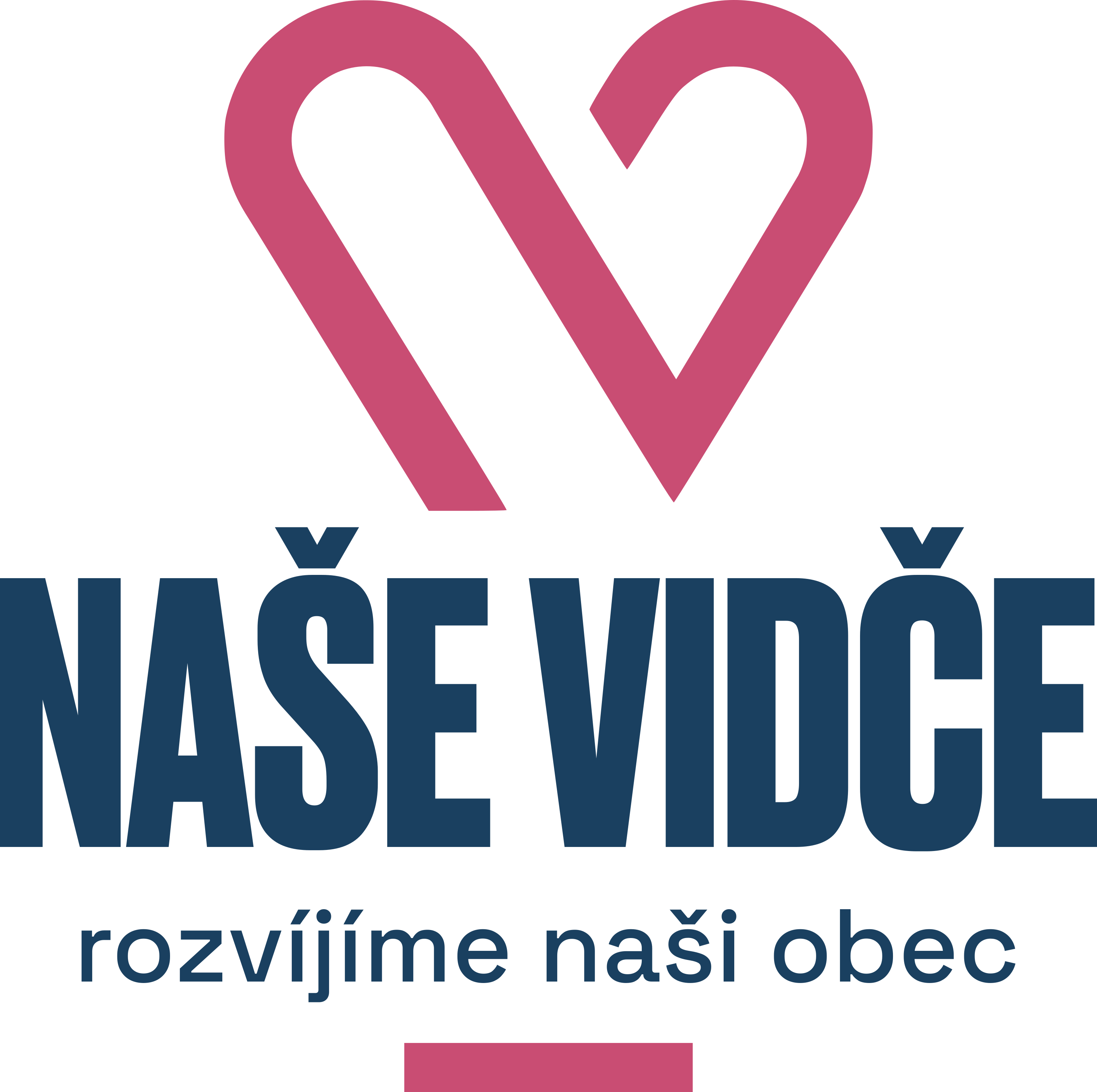 Naše Vidče
